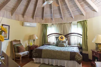 Couette-café Bed and Breakfast Khastle Khodero à Montego Bay